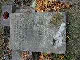 image of grave number 753270